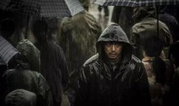 伟大的伟在线观看,探寻伟大背后的故事与启示